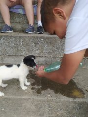 viber_slika_2024-06-12_20-25-11-573.jpg